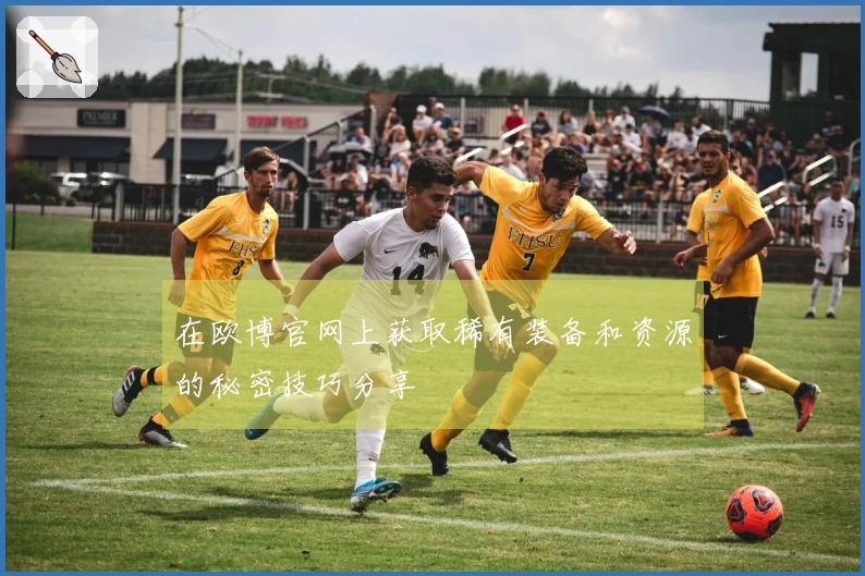 在欧博官网上获取稀有装备和资源的秘密技巧分享