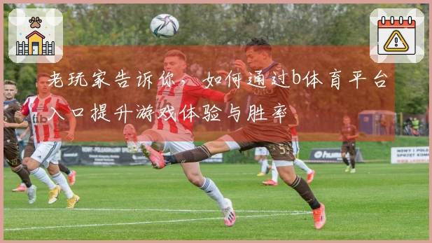 老玩家告诉你，如何通过b体育平台入口提升游戏体验与胜率